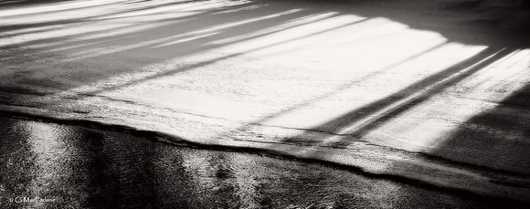River Shadows
