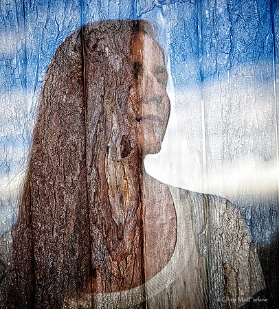 Transition