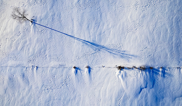 Winter Field at Dusk