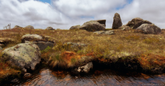 The Barrens - Whiskey Creek, NFLD