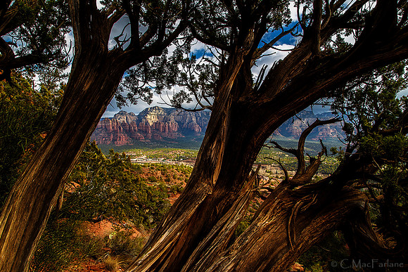 Cathedral Rock