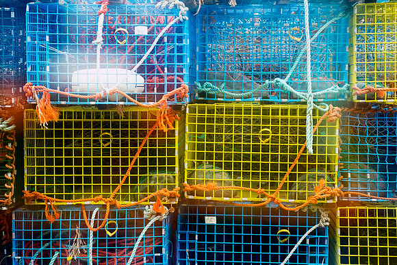 Electric Lobster Traps