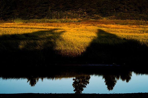 Sunrise on marshes edge - New Brunswick