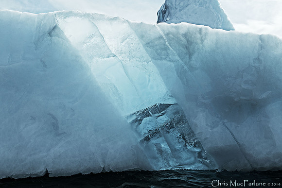 Iceberg - Tickecove, Newfoundland