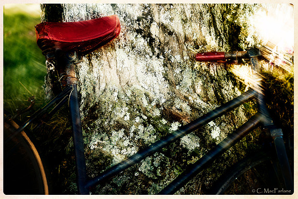 Forgotten Ride