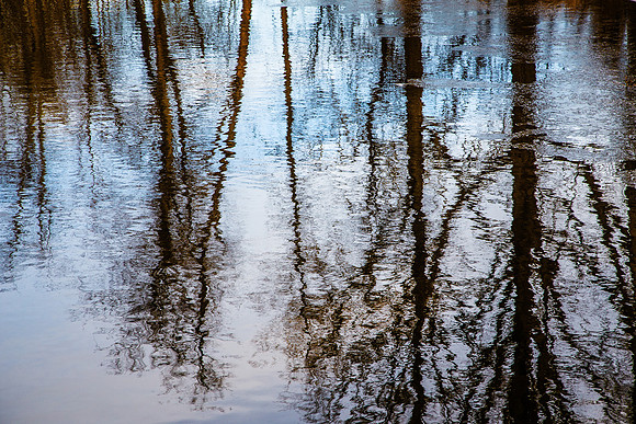 Winter Reflections - Wolfe Creek