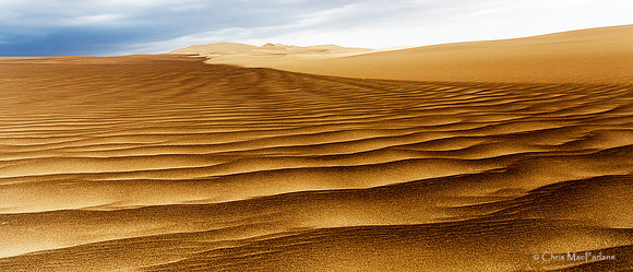 Desert Waves