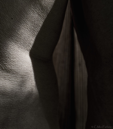 Skin and Shadow