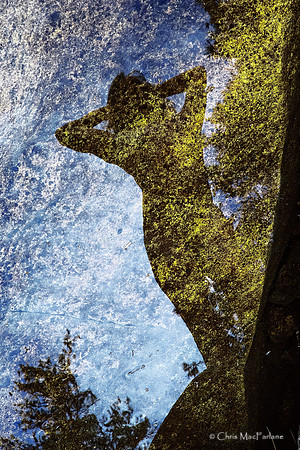Earth View from the River Bed