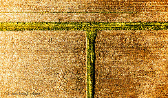 Aerial Abstract # 1