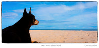 Prince Edward Island