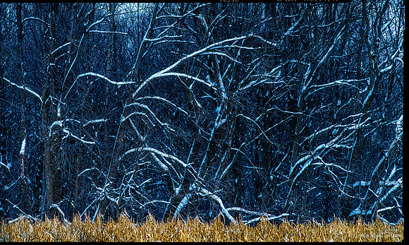 First Snow