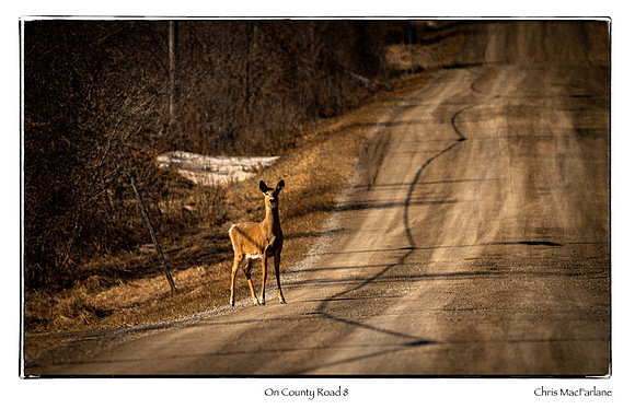 On County Road 8