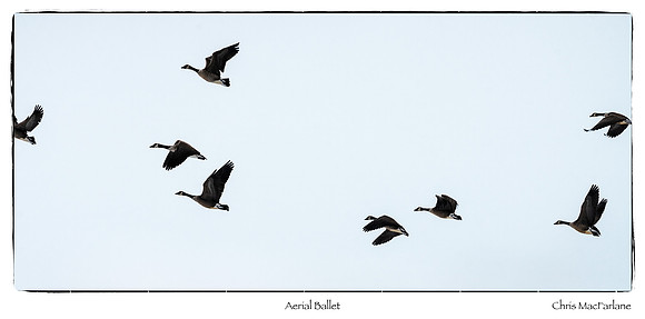 Aerial Ballet