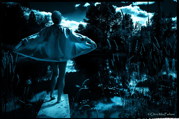 Firefly