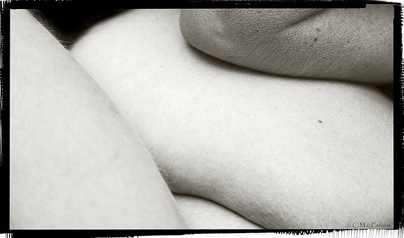 Lines and Form