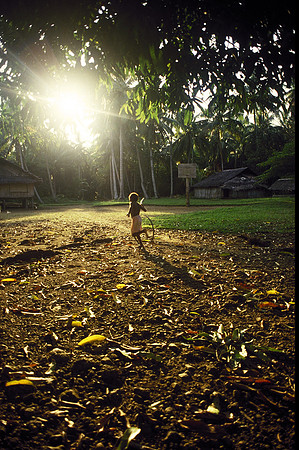 Last Rays of Sunshine