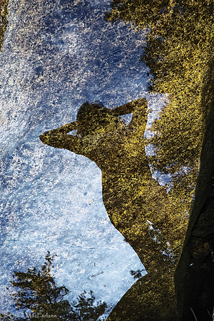 Earth View from the River Bed