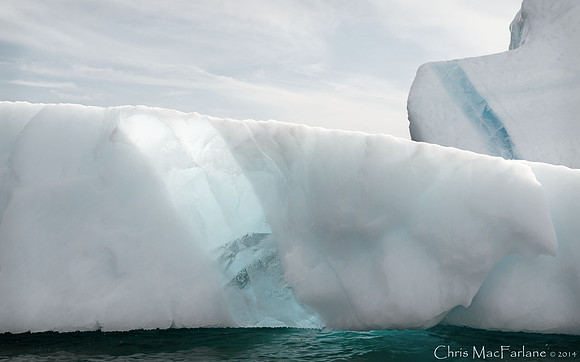Iceberg, Tickle COve, Newfoundland