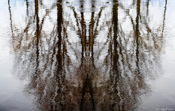 Symmetry at Wolfe Creek