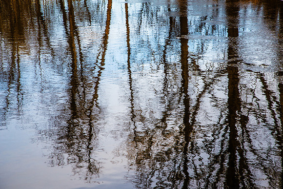 Winter Reflections - Wolfe Creek