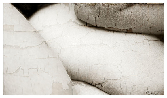 Lines and Form and Time