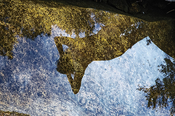 Earth View from the River Bed